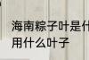 海南粽子叶是什么叶子 在海南包粽子用什么叶子