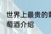 世界上最贵的葡萄酒 世界上最贵的葡萄酒介绍