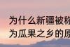 为什么新疆被称为瓜果之乡 新疆被称为瓜果之乡的原因