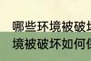 哪些环境被破坏怎样保护环境 哪些环境被破坏如何保护环境