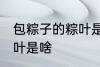 包粽子的粽叶是什么叶子 包粽子的粽叶是啥