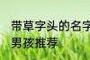 带草字头的名字男孩 带草字头的名字男孩推荐