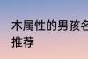 木属性的男孩名字 木属性的男孩名字推荐