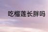 吃榴莲长胖吗 吃榴莲会不会长胖