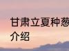 甘肃立夏种葱时间 甘肃立夏种葱时间介绍
