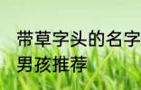 带草字头的名字男孩 带草字头的名字男孩推荐