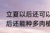立夏以后还可以种多肉植物吗 立夏以后还能种多肉植物吗