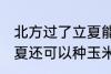 北方过了立夏能种玉米吗 北方过了立夏还可以种玉米吗