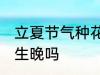 立夏节气种花生晚不晚 立夏节气种花生晚吗