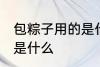 包粽子用的是什么叶子 包粽子的叶子是什么