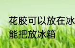 花胶可以放在冰箱冷藏室里吗 花胶不能把放冰箱