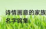 诗情画意的家族名字 诗情画意的家族名字锦集