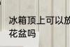 冰箱顶上可以放花盆吗 冰箱顶上能放花盆吗