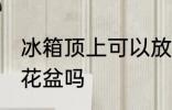 冰箱顶上可以放花盆吗 冰箱顶上能放花盆吗