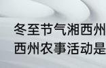 冬至节气湘西州农事活动 冬至节气湘西州农事活动是什么