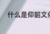 什么是仰韶文化 仰韶文化的解释