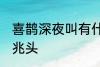 喜鹊深夜叫有什么兆头 喜鹊叫有什么兆头