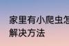 家里有小爬虫怎么办 家里有小爬虫的解决方法