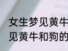 女生梦见黄牛和狗有什么兆头 女生梦见黄牛和狗的征兆