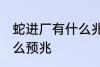 蛇进厂有什么兆头 工厂里出现蛇是什么预兆