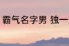 霸气名字男 独一无二的霸气名字男孩