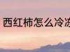 西红柿怎么冷冻保存 如何冷冻西红柿