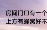 房间门口有一个蜂窝是什么兆头 门口上方有蜂窝好不好