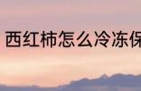 西红柿怎么冷冻保存 如何冷冻西红柿