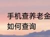 手机查养老金怎么查询 手机查养老金如何查询