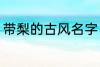 带梨的古风名字 带梨的古风名字推荐