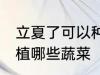 立夏了可以种植什么蔬菜 立夏可以种植哪些蔬菜