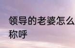 领导的老婆怎么称呼 领导的老婆如何称呼