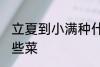 立夏到小满种什么菜 立夏到小满种哪些菜