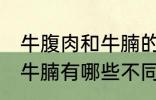牛腹肉和牛腩的区别是什么 牛腹肉和牛腩有哪些不同