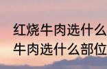 红烧牛肉选什么部位的牛肉 制作红烧牛肉选什么部位的牛肉