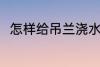 怎样给吊兰浇水 要如何给吊兰浇水
