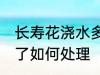 长寿花浇水多了怎么办 长寿花浇水多了如何处理