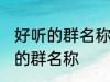 好听的群名称大全唯美 成熟简洁好听的群名称