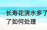 长寿花浇水多了怎么办 长寿花浇水多了如何处理