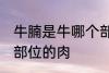 牛腩是牛哪个部位的肉 牛腩是牛什么部位的肉