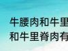 牛腰肉和牛里脊肉有什么不同 牛腰肉和牛里脊肉有何不同