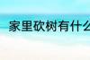 家里砍树有什么禁忌 家里砍树禁忌