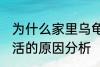 为什么家里乌龟养不活 家里乌龟养不活的原因分析