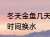 冬天金鱼几天换一次水 冬天金鱼多长时间换水