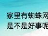 家里有蜘蛛网好事坏事 家里有蜘蛛网是不是好事呢