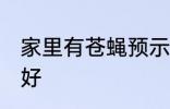 家里有苍蝇预示什么 家里有苍蝇好不好