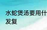 水蛇煲汤要用什么材料煲好 水蛇煲汤发复