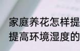 家庭养花怎样提高环境湿度 家庭养花提高环境湿度的技巧