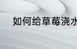 如何给草莓浇水 怎么给草莓浇水
