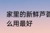 家里的新鲜芦荟怎么用 新鲜的芦荟怎么用最好